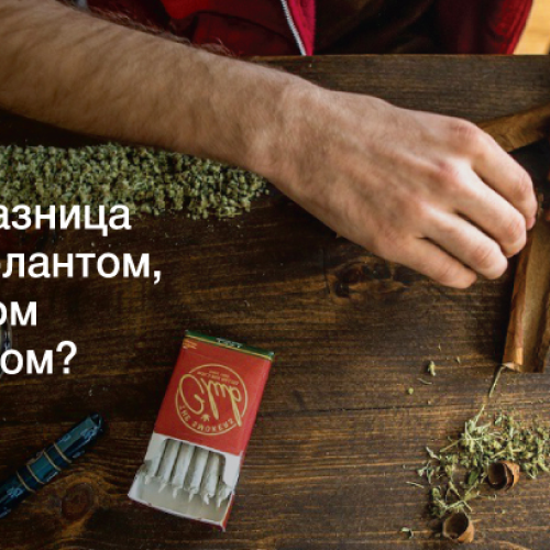 Блант, джойнт, спліф – у чому різниця?