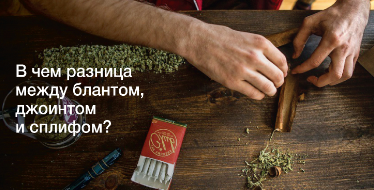 Блант, джойнт, спліф – у чому різниця?